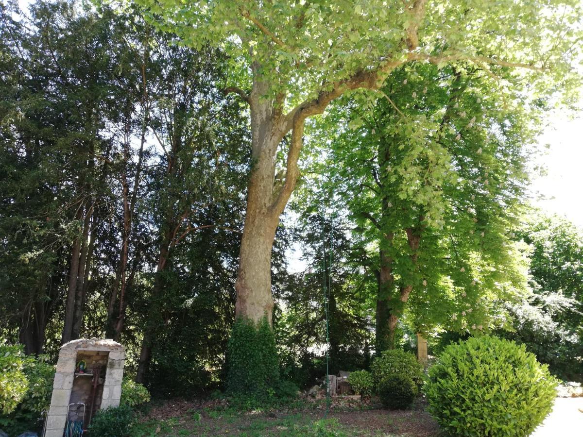 Manoir De La Touche Panzió Azay-le-Rideau Kültér fotó